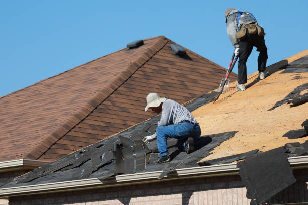 Best Metal Roofing Installation  in Tipton, MO