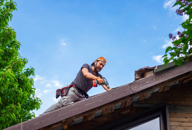 Best Roof Moss and Algae Removal  in Tipton, MO