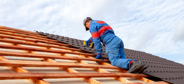 Best Asphalt Shingle Roofing  in Tipton, MO